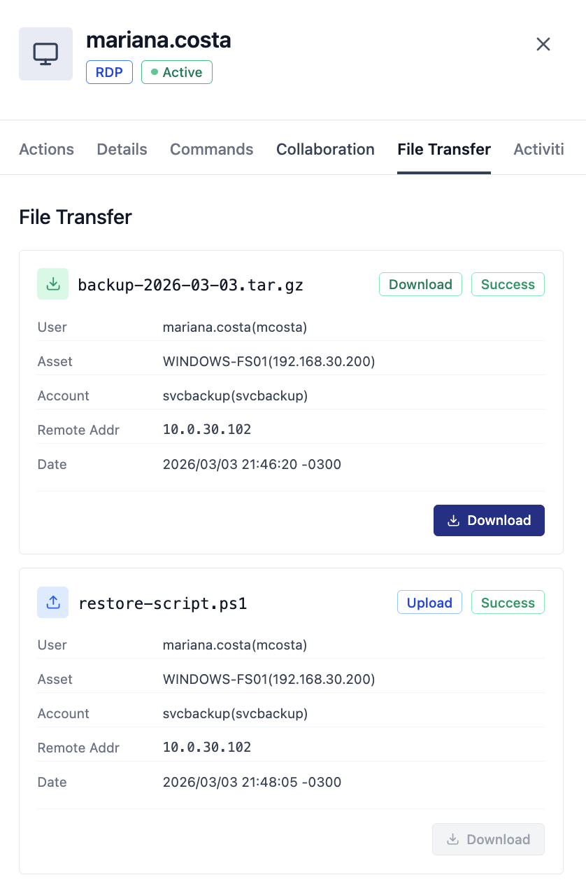 DataDike File Transfer audit panel showing download and upload events with full metadata